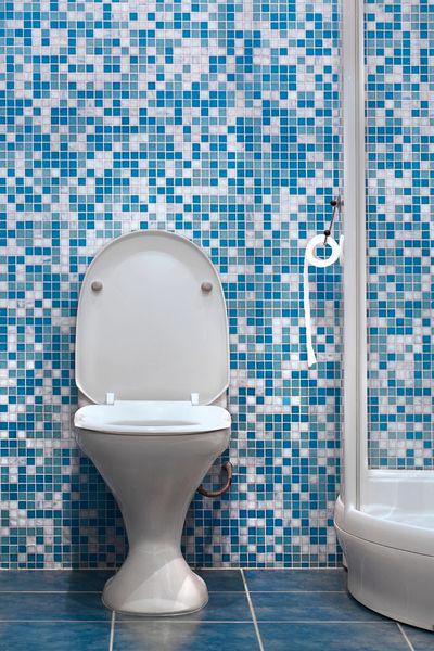 Front View of the Toilet in the Toilet Room of Blue Mosaic