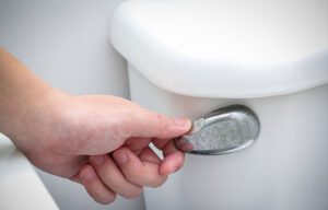 5 Types Of Toilet Flush Handles You Should Know