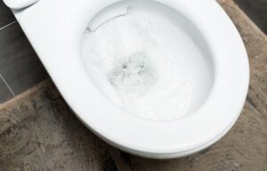 Why Won't My Toilet Flush? Causes & Fixes