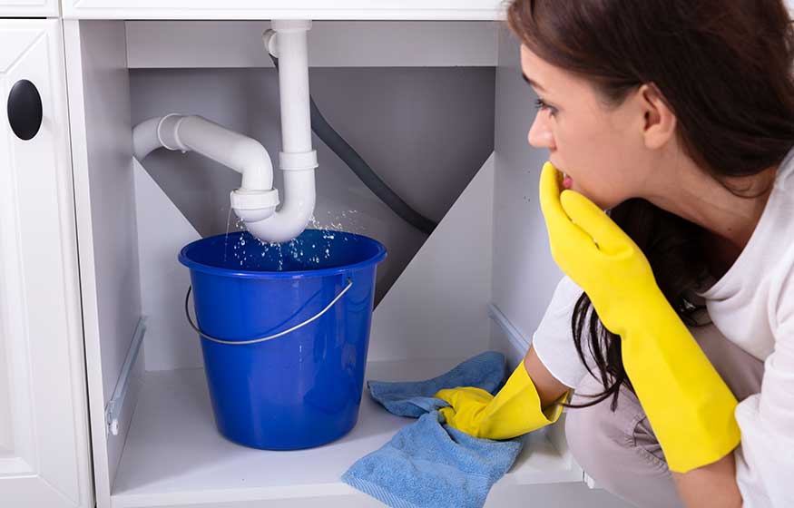 Close-up Of A Young Woman Placing Blue Bucket